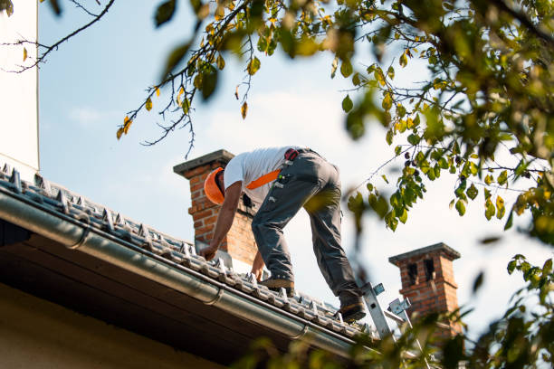 Quick and Trustworthy Emergency Roof Repair Services in Cherokee, IA