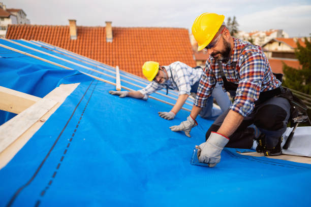 Best Commercial Roof Installation  in Cherokee, IA